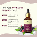 Rasayanam Liquid Biotin & Collagen for Hair Growth