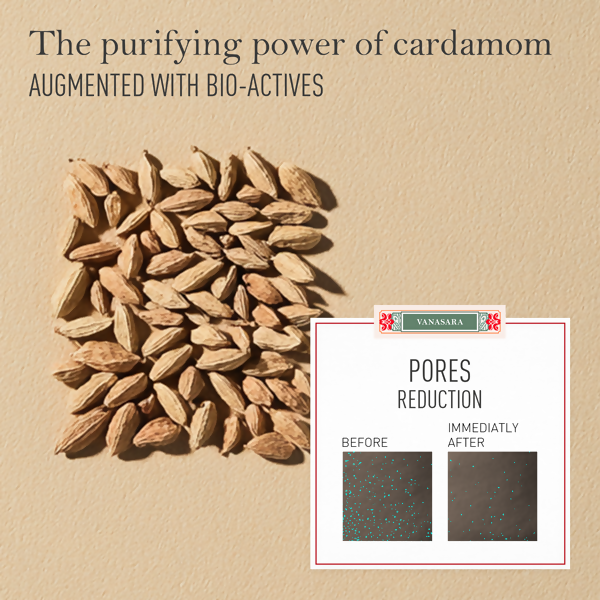 Kama Ayurveda Vanasara Cardamom Purifying Mud Mask