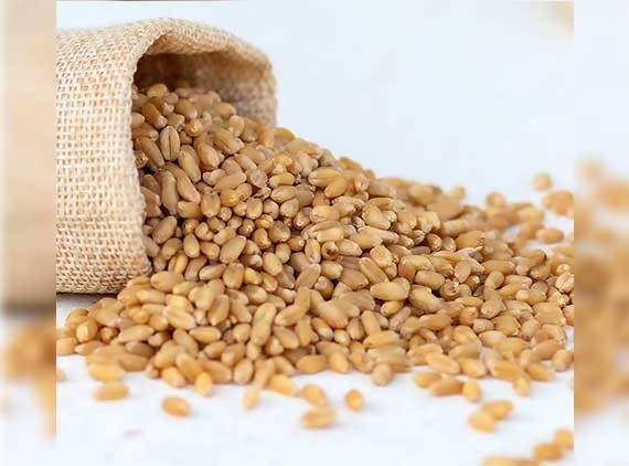 Adrish Sharbati Wheat Hover Image