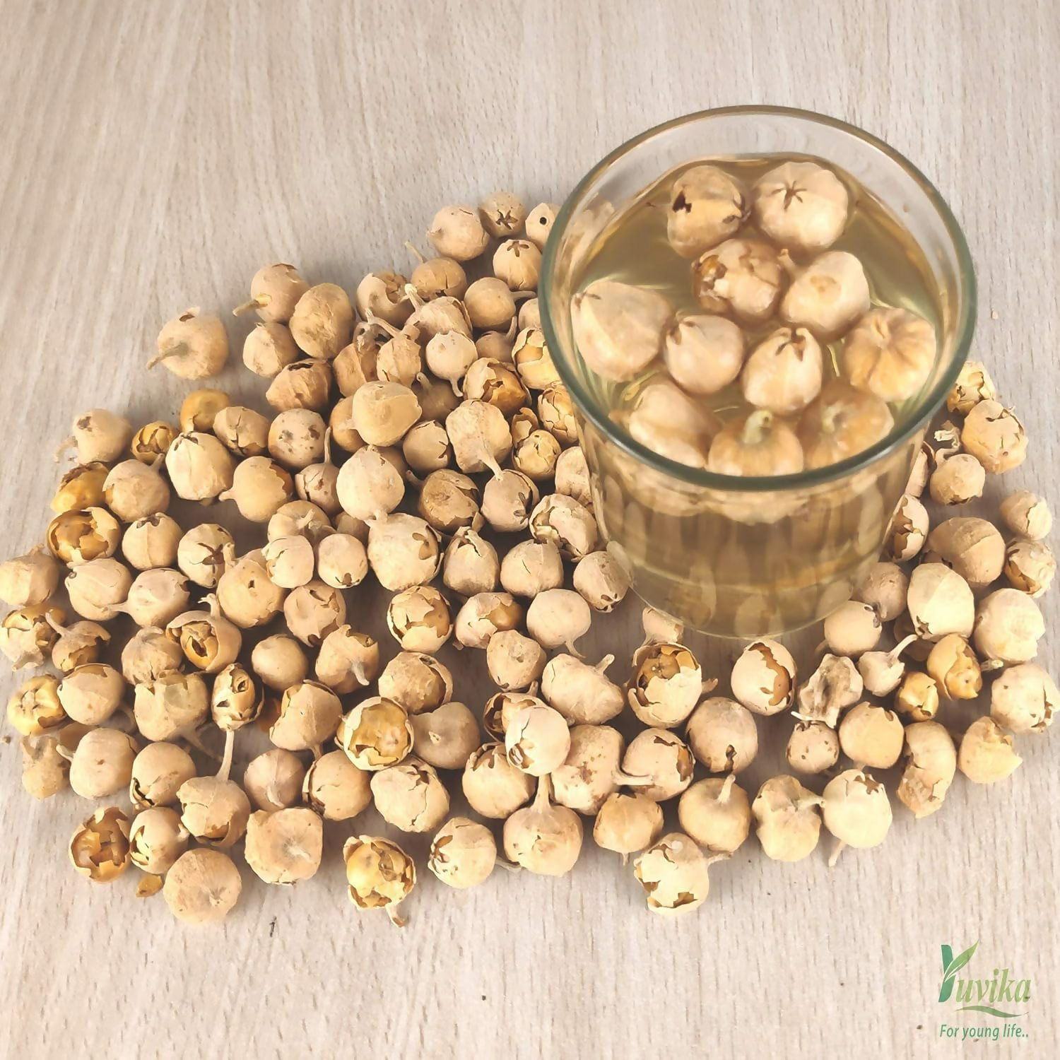 Yuvika Paneer DODI - Paneer Ke Phool - Withania Coagulan