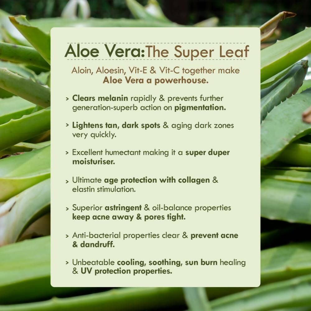 Nat Habit Active Olive Vit-E Night Face Gel