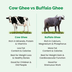 Auric A2 Bilona Desi Cow Ghee - Pure Brijwasi Ghee - Bilona Curd Churned