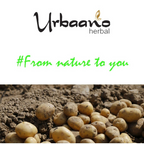 Urbaano Herbal Potato Extract Oil Soluble Natural Brightening & Soothing