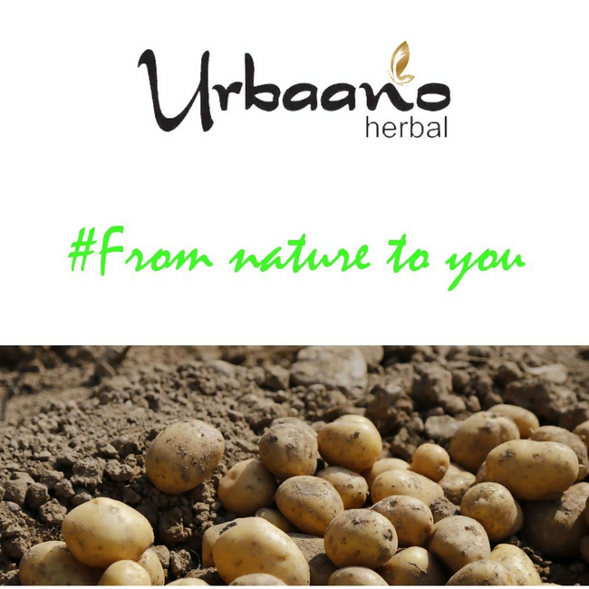 Urbaano Herbal Potato Extract Oil Soluble Natural Brightening & Soothing Main Image