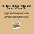 Kapiva Ayurveda Wild Amla Juice