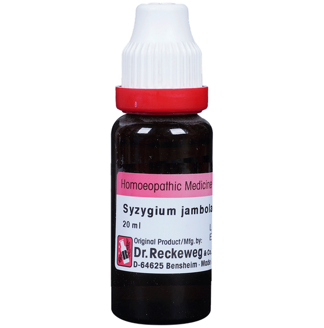 Dr. Reckeweg Syzygium J Mother Tincture Q Hover Image