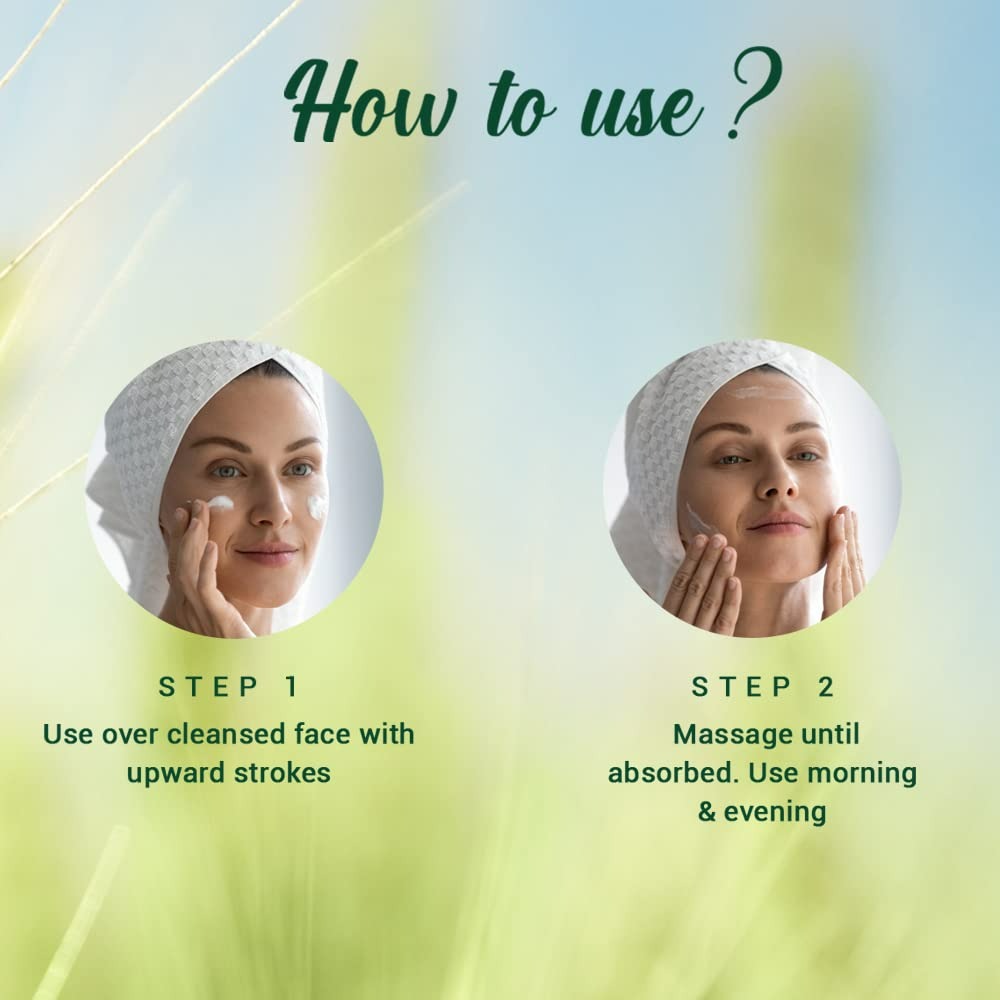 Biotique Advanced Ayurveda WheatGerm Anti-Ageing Night Cream