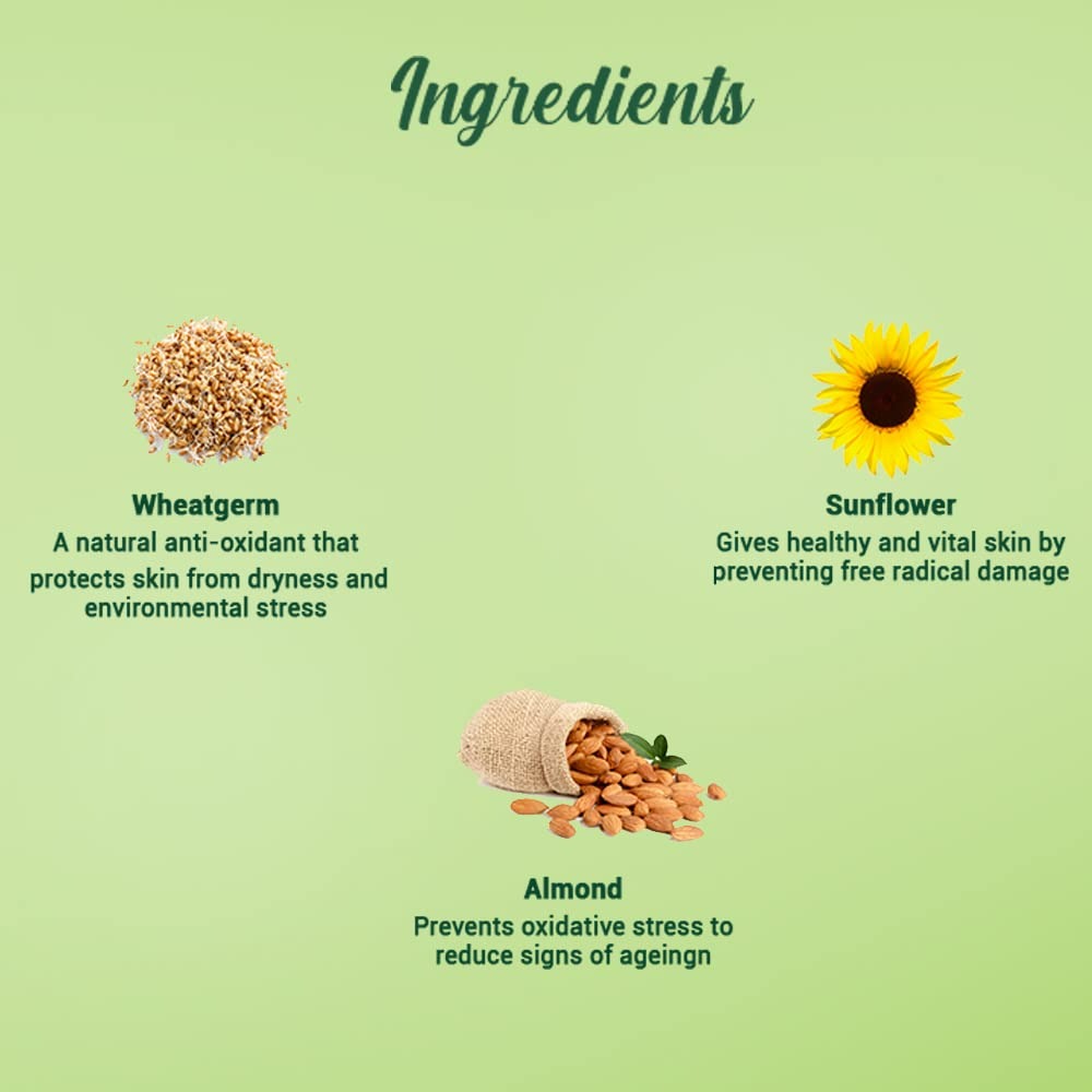 Biotique Advanced Ayurveda WheatGerm Anti-Ageing Night Cream