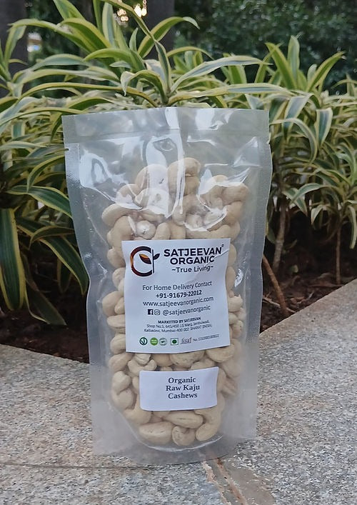 Satjeevan Organic Raw Kaju Cashews