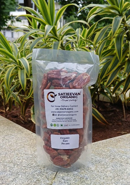 Satjeevan Organic Raw Pecans Main Image