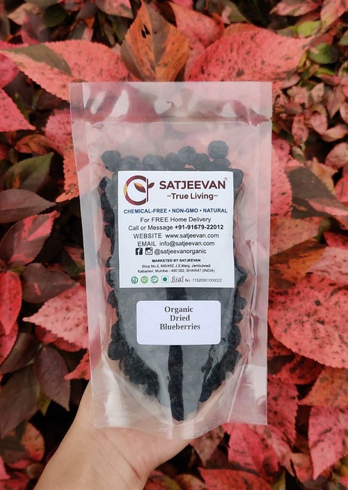 Satjeevan Organic Dried Blueberries Main Image