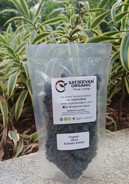 Satjeevan Organic Black Kishmis Raisins Main Image