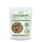Yuvagrow W-180 Cashew Nuts