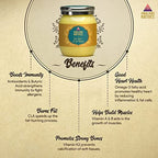 Himalayan Natives A2 Gir Cow Bilona Ghee | Desi Gir Cow Ghee | Premium and Organic Desi Ghee