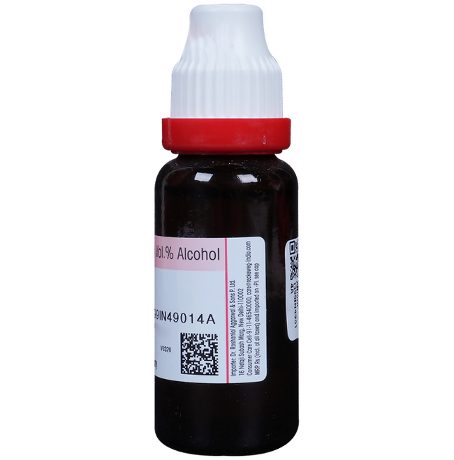 Dr. Reckeweg Allium Sativum Mother Tincture Q Main Image