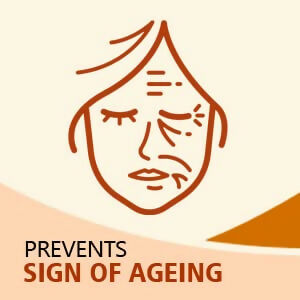 Sunny Herbals Anti Aging Lotion