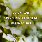 Bath & Body Works Gingham Fresh Daily Nourishing Body Lotion