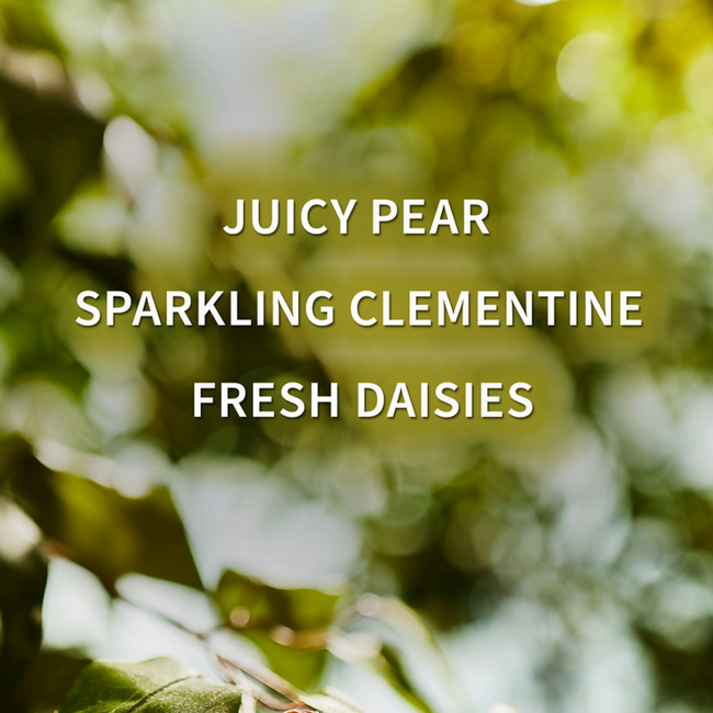 Bath & Body Works Gingham Fresh Daily Nourishing Body Lotion Main Image