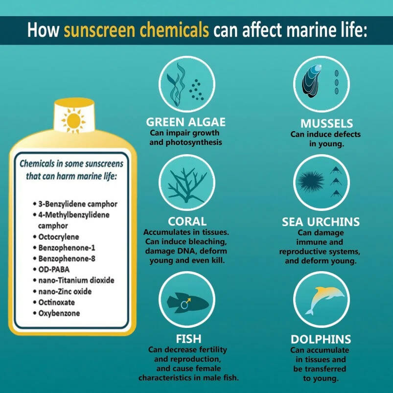 Sintra Naturals Vegan Mineral Suncream