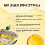 Upaveda Desi Badri Cow Pure A2 Ghee | Pure A2 Gir Cow Bilona Ghee | 100% Gir Cow Ghee | Traditional Cow Ghee