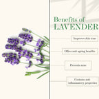 Good Vibes Lavender Softening Body Lotion