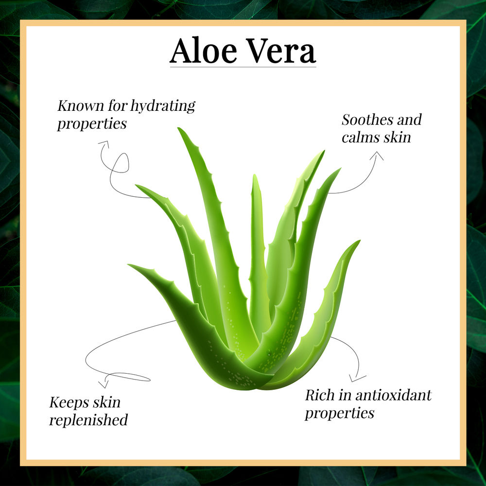 Good Vibes Soothing Body Lotion -Aloe Vera