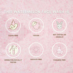 The Skin Diet Company Watermelon Hyaluronic + Salicylic Acid Face Wash