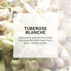 Victoria's Secret Very Sexy Oasis Body Lotion