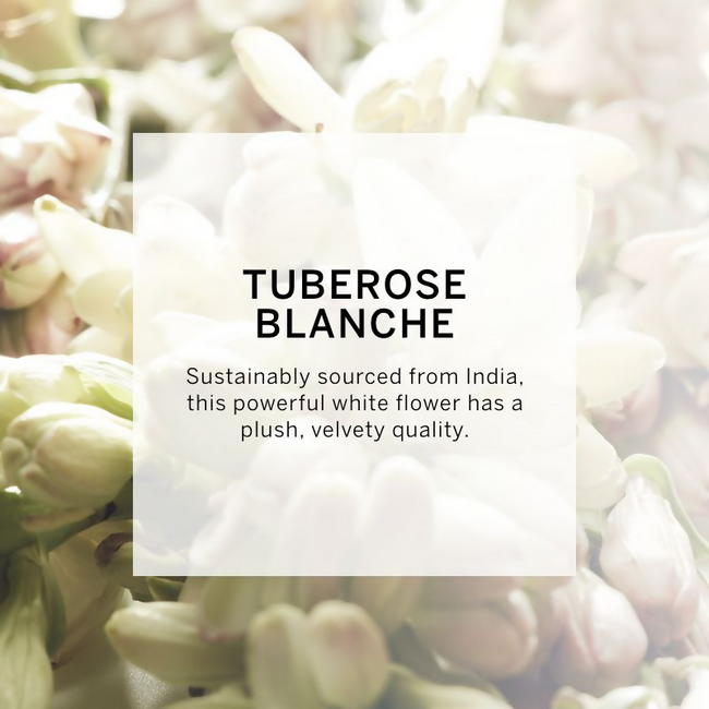 Victoria's Secret Very Sexy Oasis Body Lotion Main Image