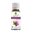Oilcure Milk Thistle Oil