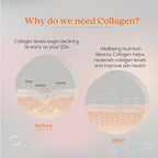 Wellbeing Nutrition Beauty Korean Marine Collagen Peptides-Mango Peach Flavor