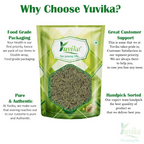 Yuvika Sonf Choti - Saunf Barik - Foeniculum Vulgare - Fennel Seeds Small