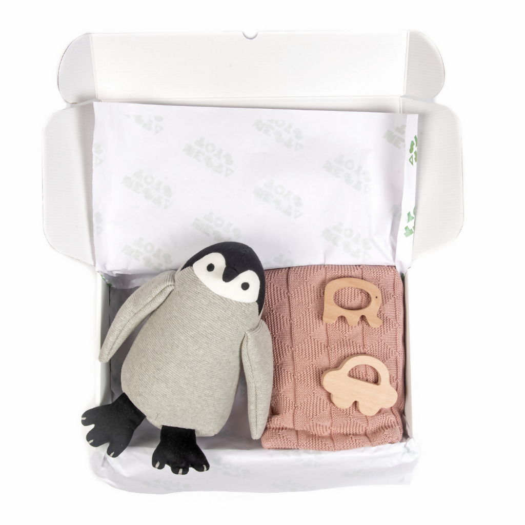 Nesta Toys Newborn Gift Set - Knitted Cotton Blanket, Penguin Plush Toy, Elephant & Car Teether