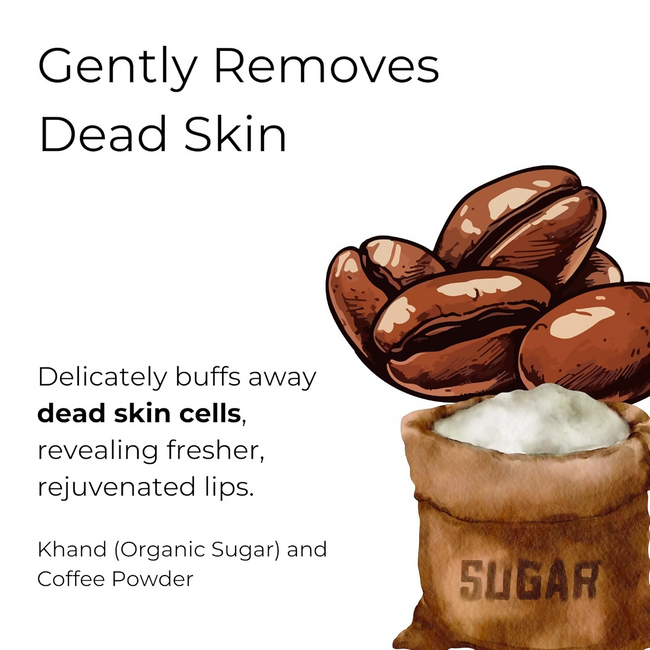 Noor Skincare Coffee Lip Scrub Main Image