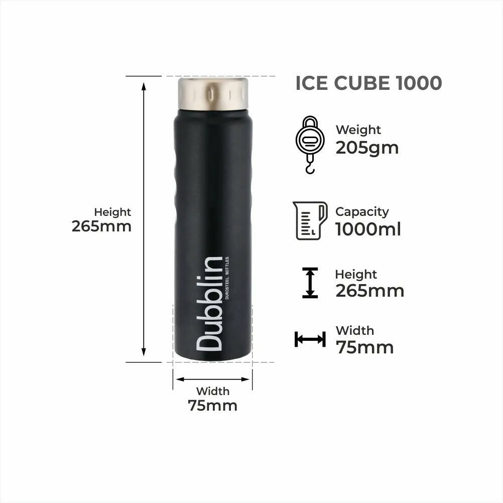 Dubblin Ice Cube Stainless Steel Fridge Water Bottle