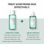 SKIN1004 Madagascar Centella Tea-Trica Purifying Toner