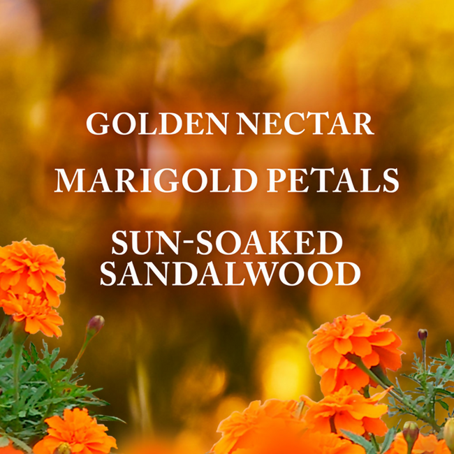 Bath & Body Works Gingham Glow Gentle & Clean Foaming Hand Soap Main Image