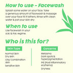 PLIX The Plant Pineapple De-Pigmentation Regime with Juicy Facewash & Serum