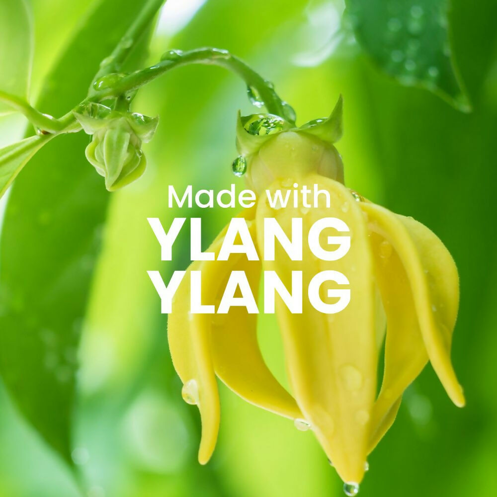 Wild Oak Pink Hibiscus Shea Butter Sugar Scrub with Ascorbic Acid, Vegan Collagen & Peptides For Tan Removal & Smooth Skin