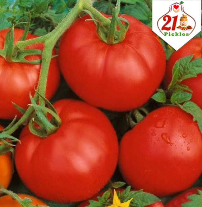 21Pickles Tomato Pickle Main Image