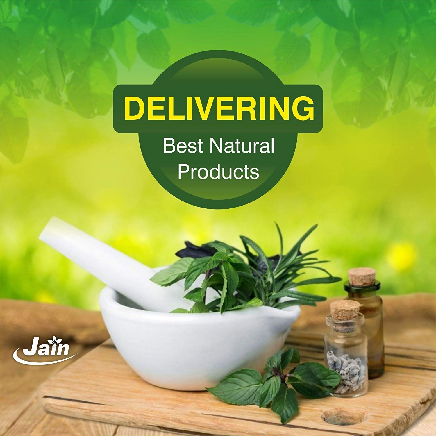 Jain Moringa Powder