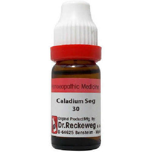 Dr. Reckeweg Caladium Seg Dilution Main Image