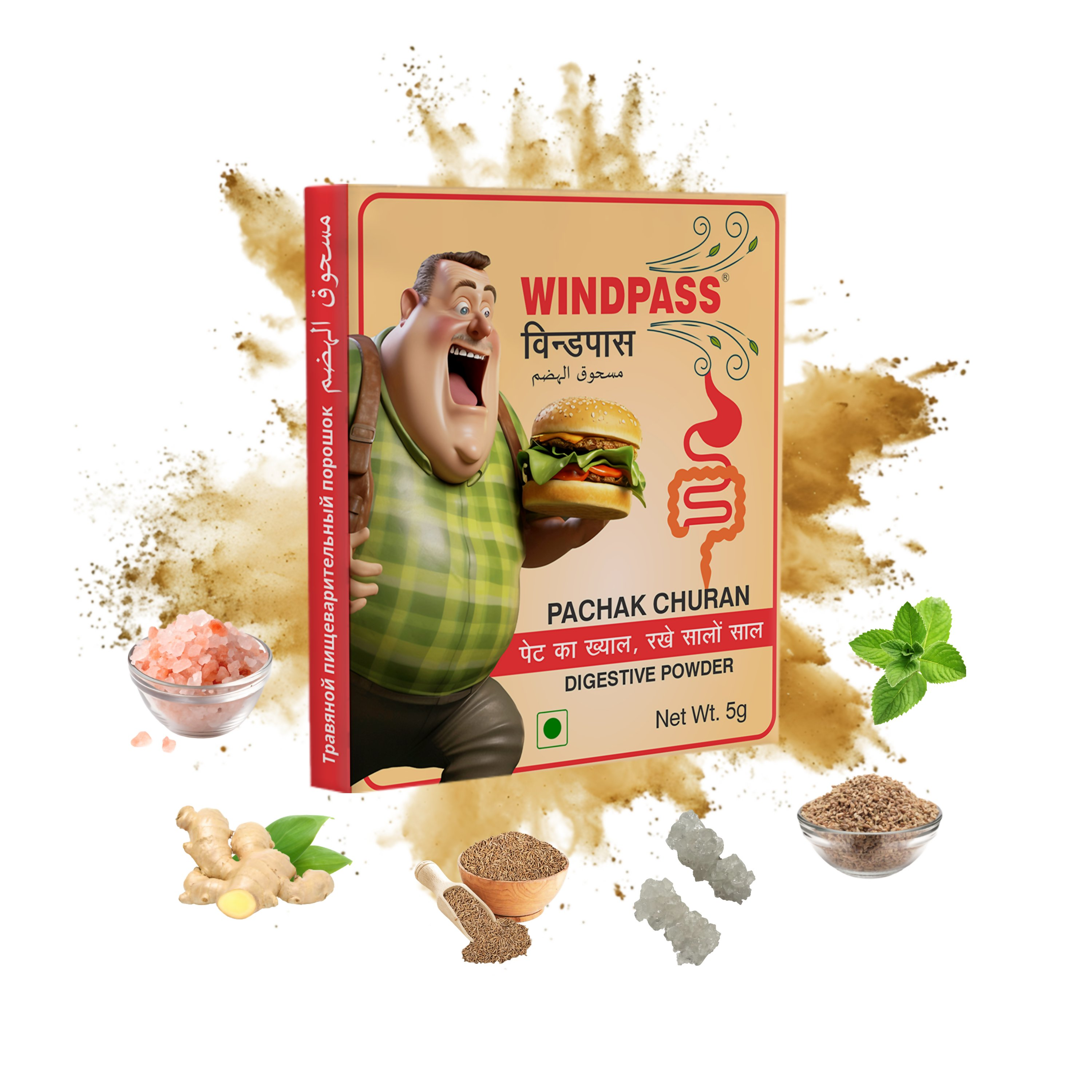 Satya Pharmaceuticals Ayurveda Windpass Pachak Churan Sachet