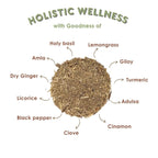 Swasthyam Vedic Kadha