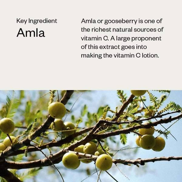 Haeal Vitamin C Lotion