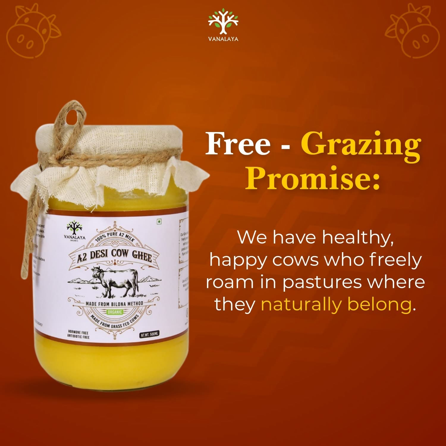 Vanalaya A2 Desi Cow Ghee Prepared By Traditional Bilona Method