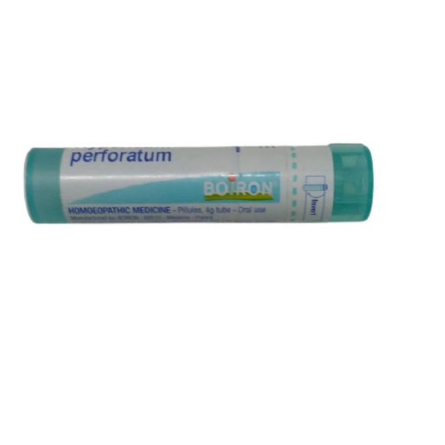 Boiron Homeopathy Hypericum Perforatum 6C Hover Image