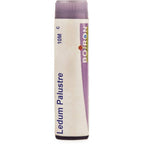 Boiron Homeopathy Ledium Palustre