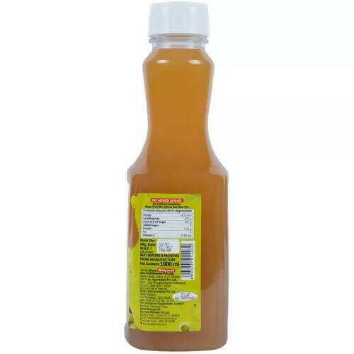 Baidyanath Jhansi Amla + Ginger Juice (RTD) Main Image