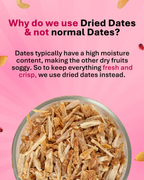 True Elements Panchmeva Dry Fruits Mix